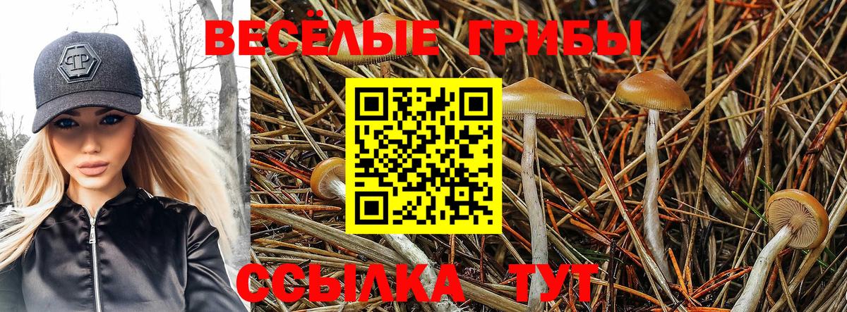 Псилоцибиновые грибы MAGIC MUSHROOMS Ярцево